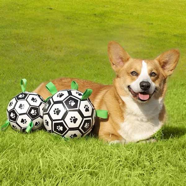 ⚽Dog toy soccer ball with grab tabs - Buy 2 get 10% off&free shipping
